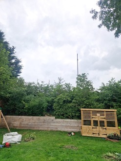 ash_tree_removals After