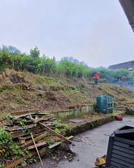 massive_garden_clearance After