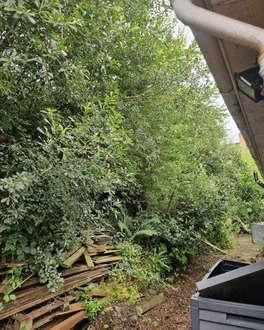 massive_garden_clearance After