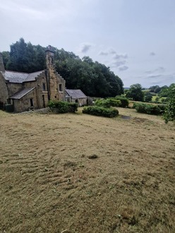 massive_garden_clearance After