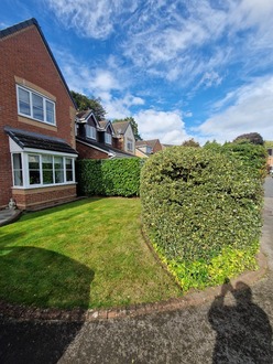 hedge_cutting_tidy After