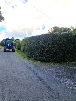 tree_pruning_and_hedge_care After