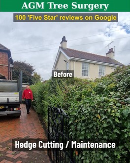 garden_of_hedge_cutting After