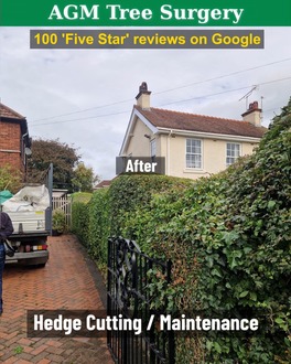 garden_of_hedge_cutting After