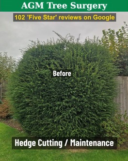 hedges_reduced After