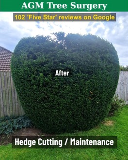hedges_reduced After