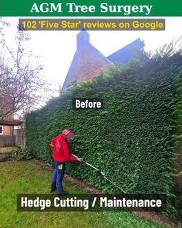 hedge_cutting After